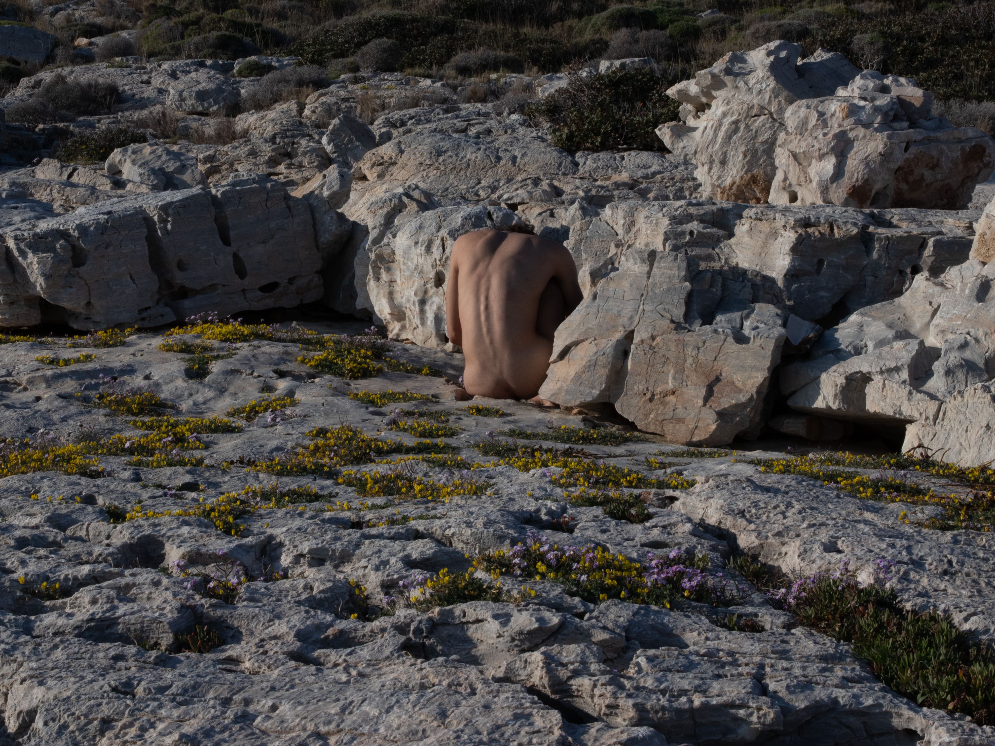 Attached Body 3